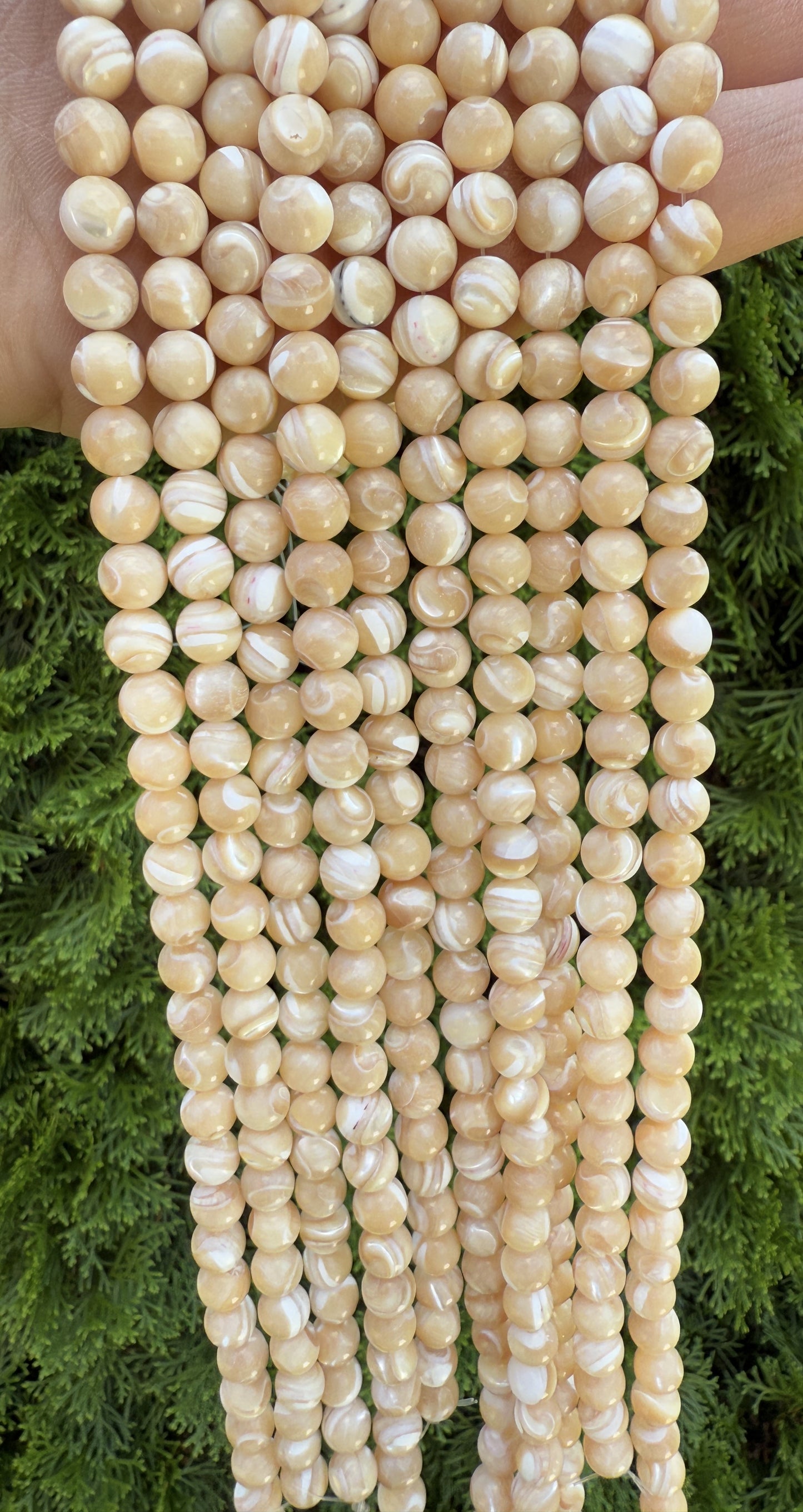 Perlenstränge Perlmutt in 8mm und 10mm